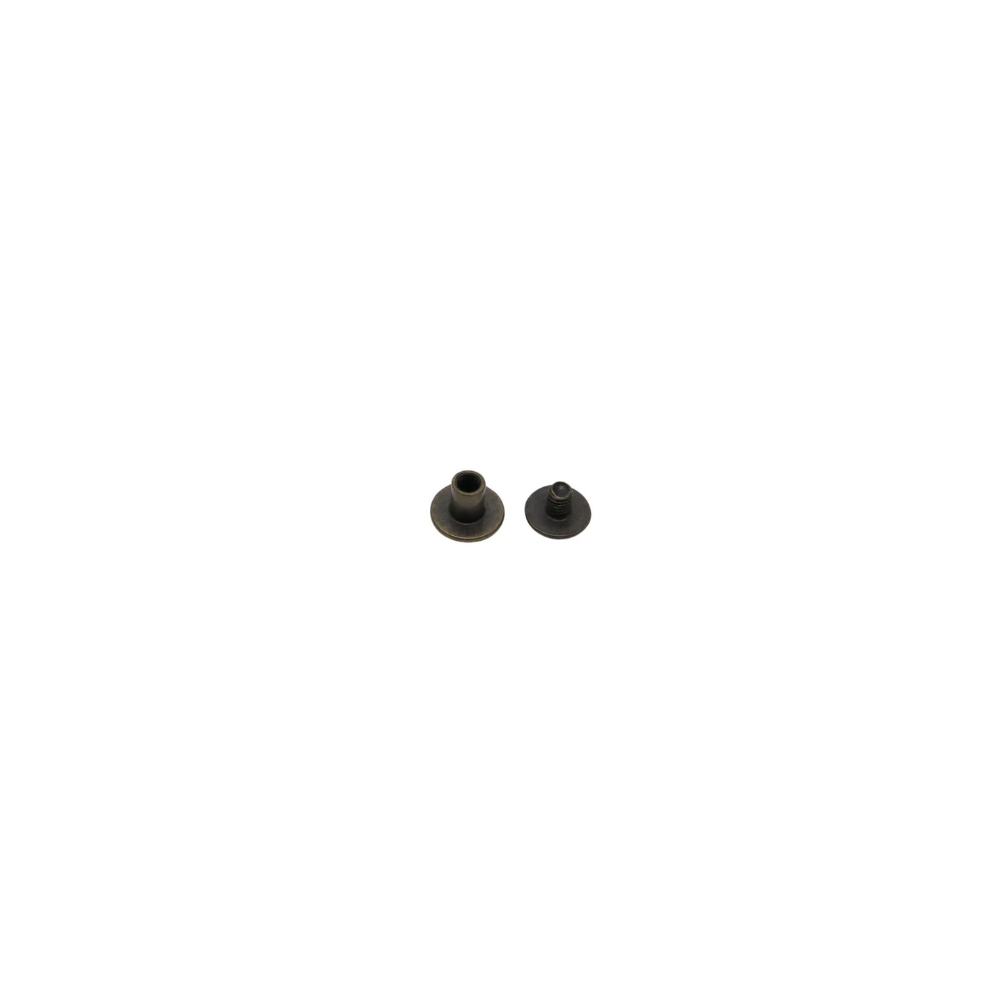 Boekschroef oud goud 5mm (10)